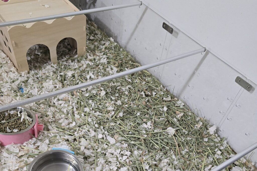 Guinea_Pig_Basic_Enclosure_Bedding_Paper