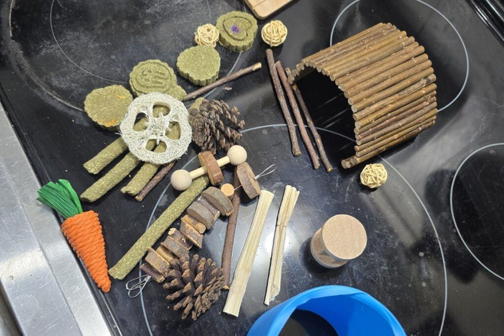 Guinea_Pig_Enrichment