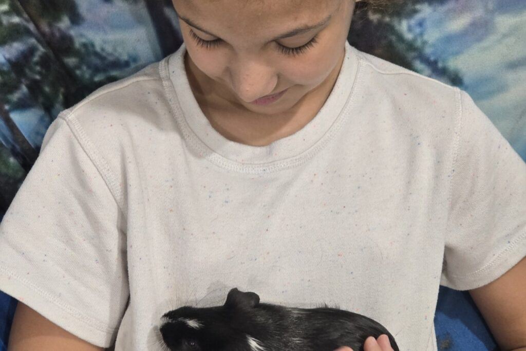 Guinea_Pig_Haven_Daughter_Holding_Spice