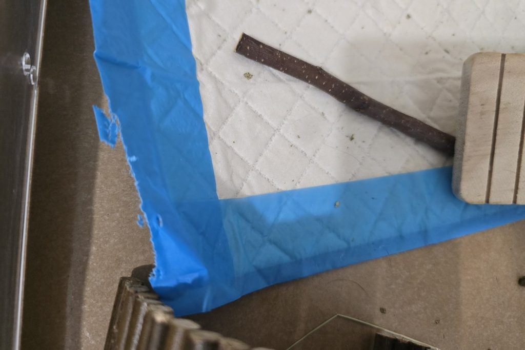 Guinea_Pig_Liner_Chewed_Up_Plastic_Boarder 